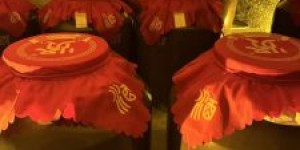 <?php the_title(); ?>