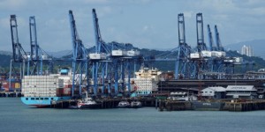 <?php the_title(); ?>