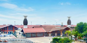 <?php the_title(); ?>