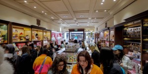 <?php the_title(); ?>