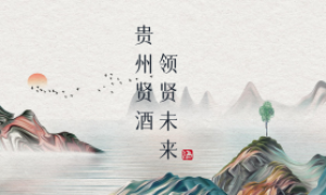 小成本在周口创业，白酒选贵州贤酒可行吗？