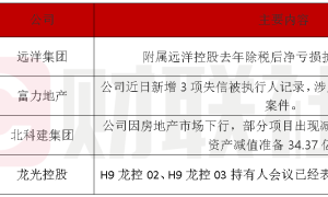 债市公告精选（4月16日）|远洋集团附属远洋控股去年除税后净亏损扩大至逾153亿元；龙光控股21笔境内债重组已有2笔获通过