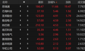 “原产地认定”加速半导体国产化 模拟芯片带头突围 龙头本周涨幅近三成