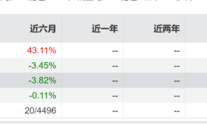 业绩反超机器人，医药主题基金风头正盛，如何调仓并打赢的？