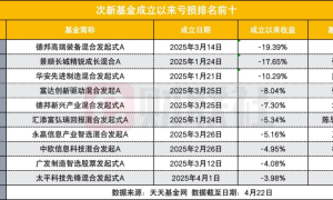 重仓人形机器人和AI的次新基金亏钱了？重仓医药、消费、红利的倒踩对了点
