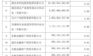 估值超1600亿元！长江存储母公司披露新一轮融资 引入多家市场化资本