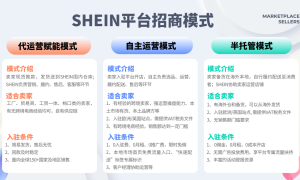 推动品牌出海，拆解霸榜海外的中国“跨境四小龙”|出海洞察