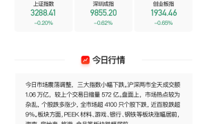 【VIP机会日报】市场缩量调整 AI应用逆势反弹 栏目追踪DeepSeek相关动态 提及相关公司涨停