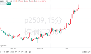 棕榈油期货持续拉升，资金借题炒作还是雨季危机实锤？