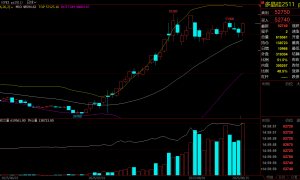 多晶硅期货大涨近5%，多头在押注什么？价格会否再创新高？