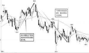 下半年铁矿石延续震荡格局