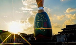 山东菏泽喝酒怎么选，冷门小众酒适合宴会送礼